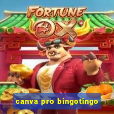 canva pro bingotingo